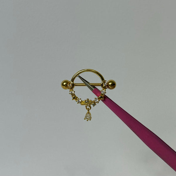 Gold Circle Nipple Bars