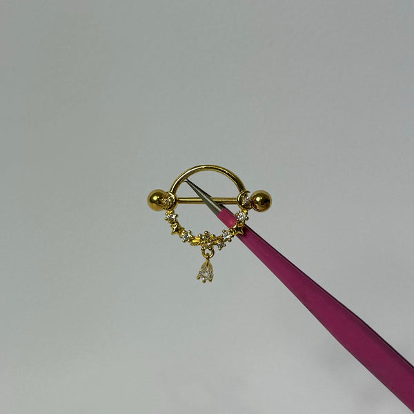 Gold Circle Nipple Bars