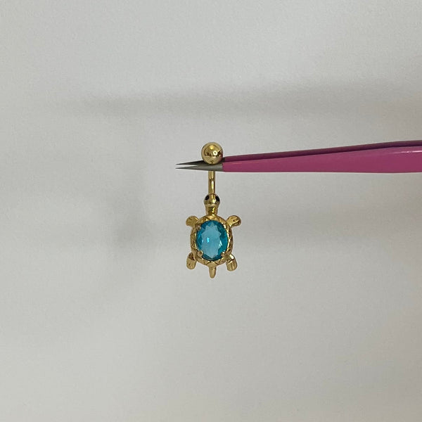 Blue Turtle Belly Bar