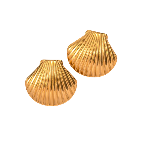 Gold Shell Stud Earrings